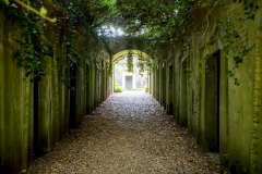 2022-06-28-London-15-Highgate-Cemetery