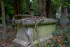 2022-06-28-London-18-Highgate-Cemetery