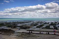 2023-07-15-Saint-Malo-09-Cancale