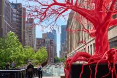 2024-06-16-NYC-14