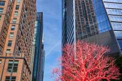 2024-06-16-NYC-16