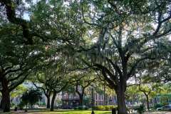 2024-06-24-Savannah-GA-04