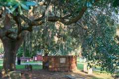 2024-06-24-Savannah-GA-08