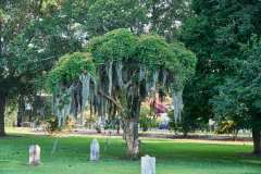 2024-06-24-Savannah-GA-09