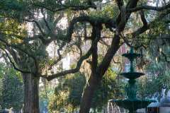 2024-06-24-Savannah-GA-17