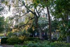 2024-06-24-Savannah-GA-41