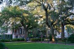 2024-06-24-Savannah-GA-42