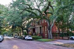 2024-06-24-Savannah-GA-43