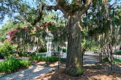 2024-06-26-Savannah-GA-06
