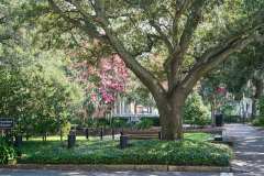 2024-06-26-Savannah-GA-10