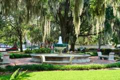2024-06-26-Savannah-GA-45