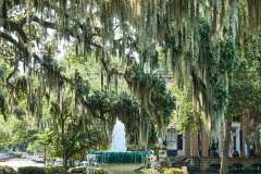 2024-06-26-Savannah-GA-47