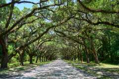 2024-06-26-Savannah-GA-57