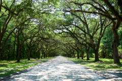 2024-06-26-Savannah-GA-59