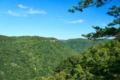 2024-07-01-New-River-Gorge-NP-WV-26