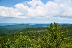 2024-07-03-Shenandoah-NP-VA-07