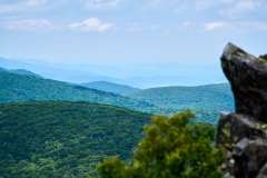 2024-07-03-Shenandoah-NP-VA-16