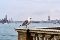 2025-03-22-Venezia-028-WebExport-3000px