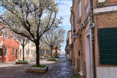 2025-03-23-Murano-008-WebExport-3000px