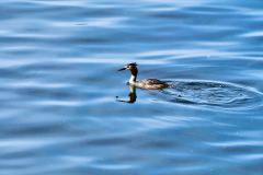 2025-05-24-Bregenz-007-WebExport-2400px