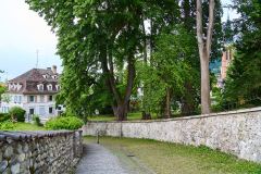 2025-05-24-Bregenz-039-WebExport-2400px