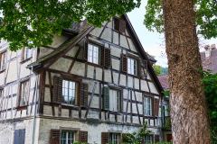 2025-05-24-Bregenz-055-WebExport-2400px