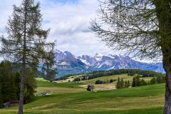 2025-05-26-Seiser-Alm-004-WebExport-2400px