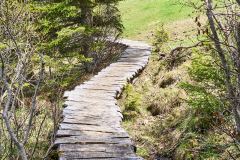 2025-05-26-Seiser-Alm-022-WebExport-2400px