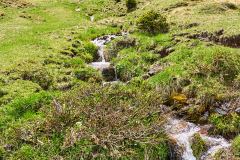 2025-05-26-Seiser-Alm-024-WebExport-2400px
