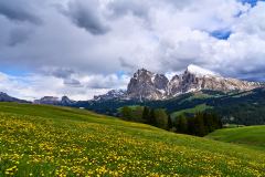 2025-05-26-Seiser-Alm-034-WebExport-2400px