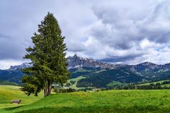 2025-05-26-Seiser-Alm-037-WebExport-2400px