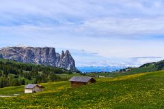 2025-05-28-Seiser-Alm-008-WebExport-2400px