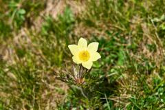 2025-05-28-Seiser-Alm-014-WebExport-2400px