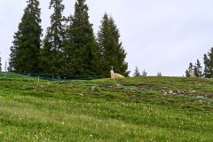 2025-05-28-Seiser-Alm-029-WebExport-2400px