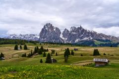 2025-05-28-Seiser-Alm-034-WebExport-2400px