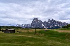 2025-05-28-Seiser-Alm-036-WebExport-2400px