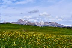 2025-05-28-Seiser-Alm-041-WebExport-2400px