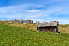 2025-05-29-Seiser-Alm-006-WebExport-2400px
