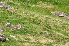 2025-05-29-Seiser-Alm-019-WebExport-2400px