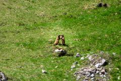 2025-05-30-Seiser-Alm-009-WebExport-2400px