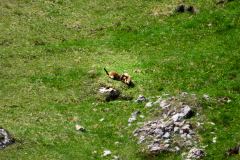 2025-05-30-Seiser-Alm-010-WebExport-2400px