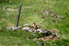 2025-05-30-Seiser-Alm-015-WebExport-2400px