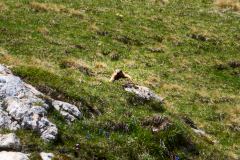 2025-05-30-Seiser-Alm-016-WebExport-2400px