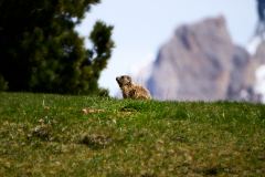 2025-05-30-Seiser-Alm-020-WebExport-2400px