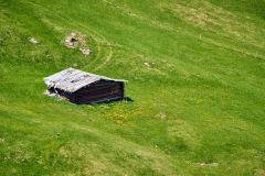 2025-05-30-Seiser-Alm-030-WebExport-2400px
