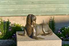 2025-09-01-Tromso-009