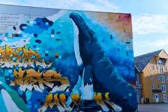 2025-09-01-Tromso-013
