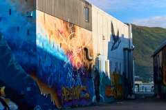 2025-09-01-Tromso-015