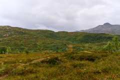 2025-09-03-AmWegNachHenningsvaer-018