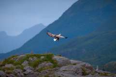 2025-09-04-Silent-Cruise-Trollfjord-008